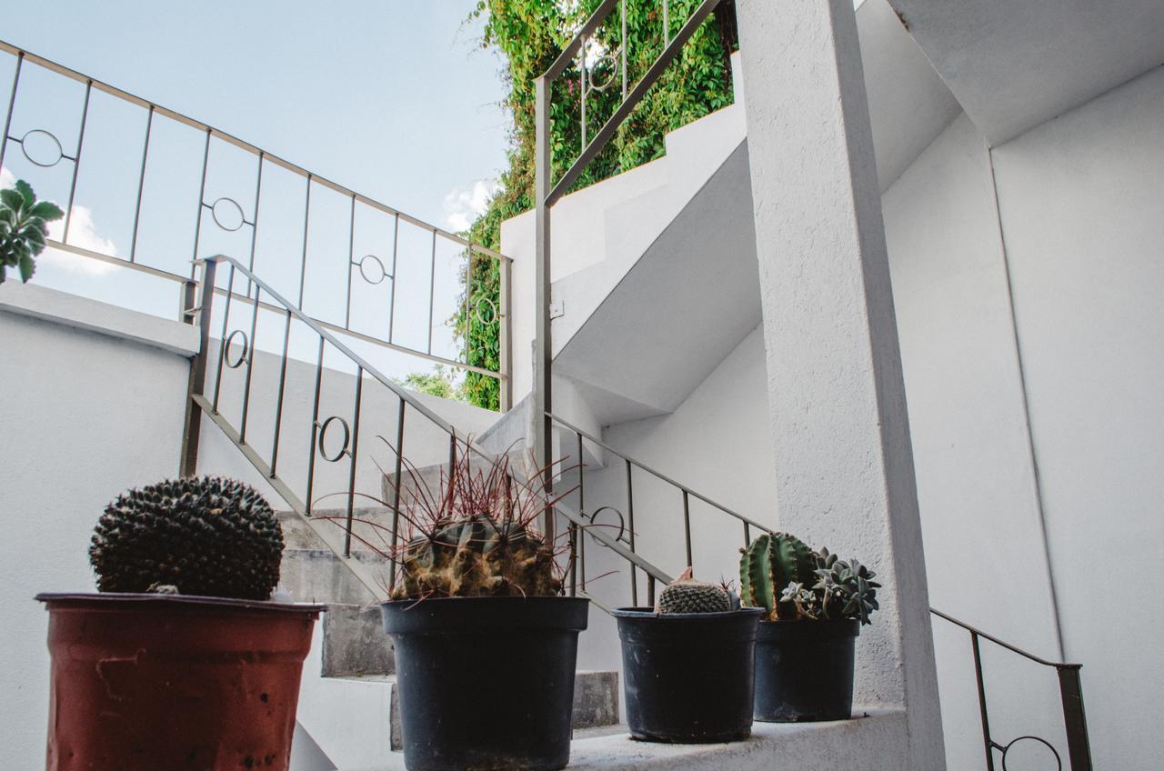 Casa Mariel 호텔 산루이스포토시주 외부 사진
